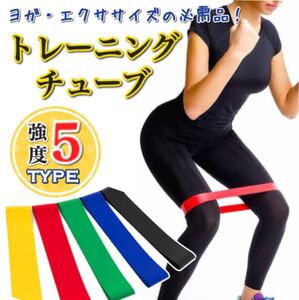 トレーニングチューブ 強度別5本セット フィットネス ダイエット 体幹 チューブ ゴム バンド