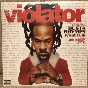 VIOLATOR FEAT. BUSTA RHYMES - WHAT IT IS 12インチ