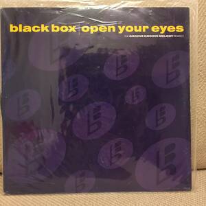 BLACK BOX - OPEN YOUR EYES 12インチ イタロハウス名曲