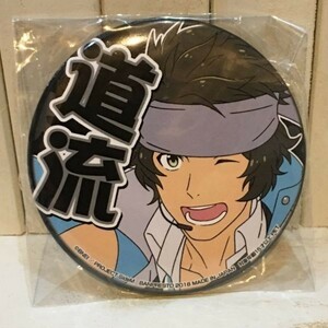 ◆送料無料新品 THE iDOLM@STER PinBack button Michiru Enjoji アイドルマスター sideM 円城寺道流 缶バッジ 缶バッヂ 缶バッチ アイマス