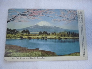 A142　絵葉書　ポストカード　御殿場在東山から見た富士　