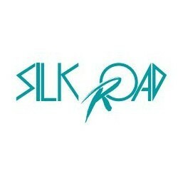 【SilkRoad/シルクロード】 リア全長調整式ショックアブソーバー 補修パーツ アッパーブッシュ 1ヶ [P1134-14]