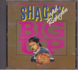 SHAGGY ＆ RAYVON / シャギー / BIG UP /EU盤/中古CD!!44029