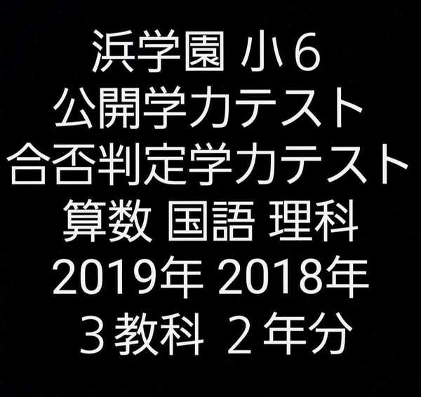 浜学園　小６　公開学力テスト　合否判定学力　算数　国語　理科　３教科　２年分