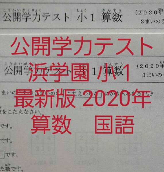 浜学園 小1 最新版 2020年 公開学力テスト 1年分