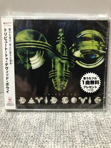 tribute to David Bowie デビッドボウイ　トリビュート盤　ROLLY NONA REEVES 野宮真貴　ダイアモンドユカイ　キセル　THE COLLECTORS 他