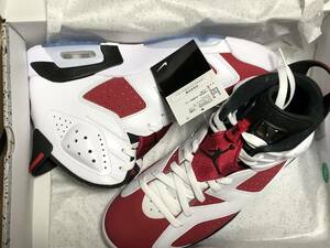 【27cm】 us9 NIKE AIR JORDAN 6 RETRO カーマイン 2021 ナイキエアジョーダン 6 レトロ 