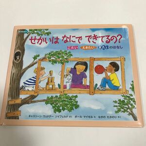 せかいはなにでできてるの? こたい、えきたい、きたいのはなし/キャスリーンウェドナーゾイフェルド/ポールマイゼル/ながのたかのり