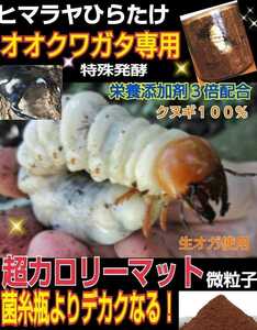 オオクワガタ専用☆超高カロリーマット！クヌギ生オガ特殊発酵！共生バクテリア・特殊アミノ酸など栄養添加剤3倍配合 究極の特選マットです