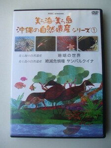 DVD◆美ら海・美ら島 沖縄の自然遺産シリーズ１ /2枚組