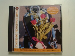 DVD◆HARLEY-DAVIDSON EXPERIENCE 大切な方とより安全に。ペアライドのコツもご紹介/ハーレーダビッドソン