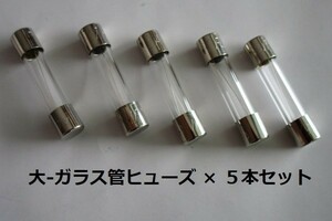 * glass tube 2A/ fuse ( large ) ×5 pcs set [ unused / visually check ending ] for exchange electron parts 