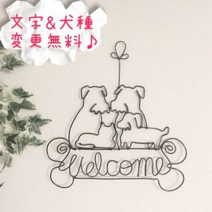 ワイヤークラフト 多数タイプ 多数飼い