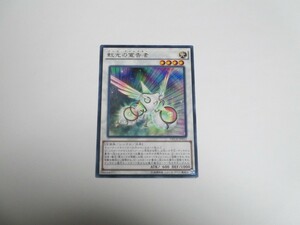 遊戯王☆NECH 虹光の宣告者　レア 複数有 ☆即決