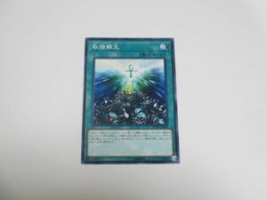 遊戯王★FLOD 取捨蘇生　ノーマルレア 複数有 ★即決