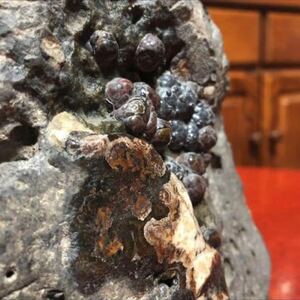 珍品 化石 水石　18cm 1.9kg 不思議な塊根石　奇石