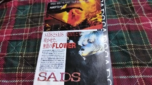 ロッキンf☆記事☆切り抜き☆SADS=『1999 THE FIRST TOUR Smash it up』特集▽3Bb：bbb339