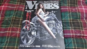 雑誌☆VIBES☆2019/3☆モデル=及川みき