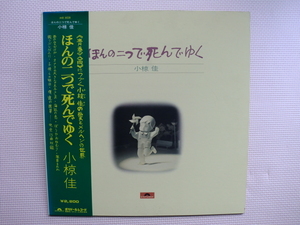 ＊【LP】小椋佳／ほんの二つで死んでゆく（MR5028）（日本盤）