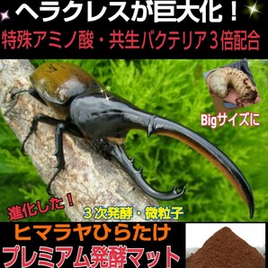 幼虫が巨大化します！ヒマラヤひらたけプレミアム発酵マット☆！3次発酵！微粒子！特殊アミノ酸・共生バクテリアなど栄養添加剤３倍配合！