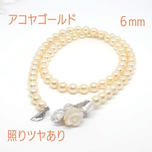 男性もパールのネックレス! 希少!アコヤゴールドパール チョーカー