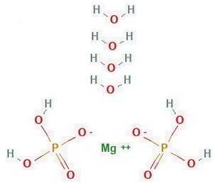 リン酸二水素マグネシウム四水和物 99% 100g Mg(H2PO4)2・4H2O 二リン酸マグネシウム 無機化合物標本 試薬 試料