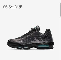 ● GW限定値下げ☆NIKE ナイキエアマックス95 AIRMAX 25.5 オーロラグリーン レントゲン ブラック 黒_画像1