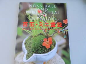  kokedama * mini bonsai sand forest .=.. new star publish company issue 2007 year 1 month 15 day issue secondhand goods 