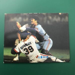 1981年　カルビー　プロ野球カード　81年　368番　巨人　山倉　　　【管理NO:3-15】