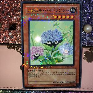 遊戯王 ナチュル・ハイドランジー ノーマルパラレルDT06