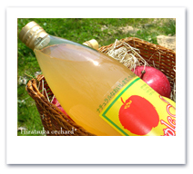 ●青森県産りんご使用(^^)/　特選りんご100%ストレート果汁 1000×6本H4696_画像3