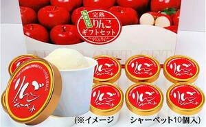 * special selection apple sherbet . meat enough 110g×10 piece H4695