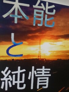 鬼滅の刃同人誌本能と純情の、炭治郎X 煉獄、いぬ屋、横木