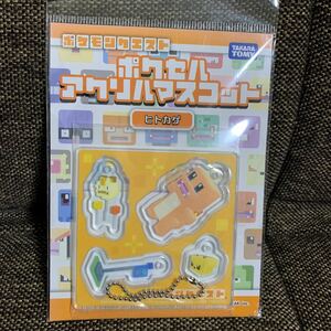 新品・未使用品 ポケモンクエスト ポケセル アクリルマスコット　ヒトカゲ　タカラトミー ②