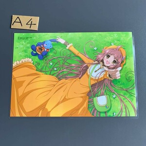 こばと。　ラミネート　A4サイズ　加工品　Dいほ