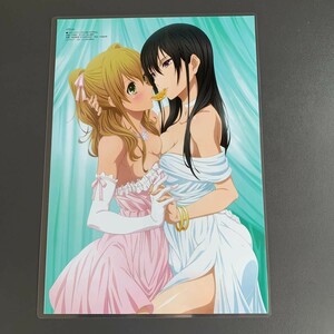 citrus オレンジ　切抜き ラミネート処理品 加工品 切抜 切り抜き A4サイズ　イラスト　Dはれ