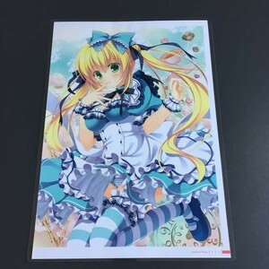 鷹乃ゆき 12 切抜き ラミネート処理品 加工品 切抜 切り抜き A4 1枚 両面　イラスト AR