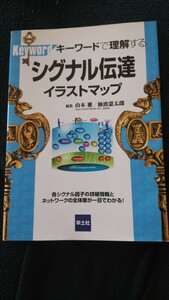 シグナル伝達イラストマップ　サイトカイン・増殖因子　医学書　書籍　教科書　医学　研究　生物学　大学院生　大学生　基礎研究