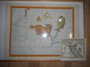 アンティーク、天文、星座早見盤、手彩色銅版画、星図、1781年『フラムスチード星図おひつじ座他』Star map, Planisphere, Celestial atlas