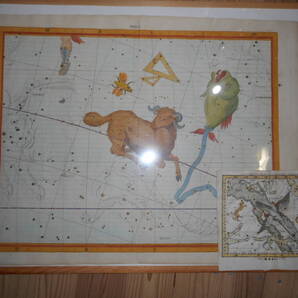 即決アンティーク天文、星座早見盤、手彩色銅版画、星図1781年『フラムスチード星図おひつじ座他』Star map, Planisphere, Celestial atlas