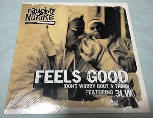 NAUGHTY BY NATURE / FEELS GOOD (DON'T WORRY BOUT A THING) FEAT 3LW / キャッチー2002HIPHOP