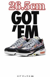 送料無料☆SNS購入 NIKE AIRMAX95SEMULCI COLOR / TOTAL ORANGE BLACK WHITE 