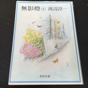 b13 無影燈 渡辺淳一 角川春樹 角川書店 小説 日本小説 日本作家 ミニ 本 3918 