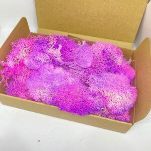 ハーバリウム花材 プリザーブドフラワー モス 加工花材 パープルピンク