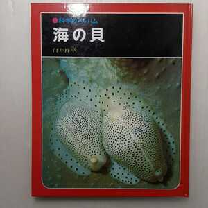 zaa-m1b♪ 海の貝　カラー版（科学のアルバム）(1983年) 白井 祥平 (著) (あかね書房）