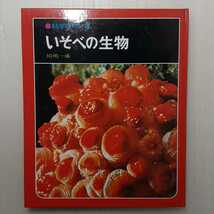 zaa-m1b♪いそべの生物―カラー版（科学のアルバム） 川嶋 一成 (著) 1994年2月(あかね書房）_画像1