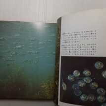 zaa-m1b♪いそべの生物―カラー版（科学のアルバム） 川嶋 一成 (著) 1994年2月(あかね書房）_画像4