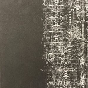 中村文則 教団X