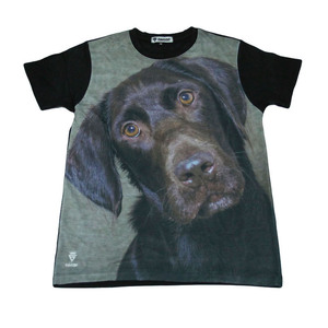 犬 ラブラドール ドッグ ペット わんこ 公園 散歩 ストリート系 デザインTシャツ おもしろTシャツ メンズ 半袖★M376M