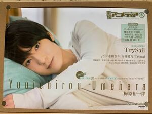  voice actor Animedia plum .. one . not for sale B2 poster *